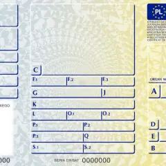 Dowód rejestracyjny pojazdu. Sprawdź, czy trzeba mieć przy sobie dowód rejestracyjny, gdy jedziesz samochodem.