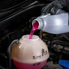 Rękawiczka w czarnej rękawiczce wlewa różowy płyn do chłodnicy do zbiorniczka wyrównawczego.