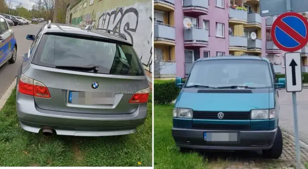 Art. 144 par. 1 KW: Kary za niszczenie zieleni na terenach publicznych