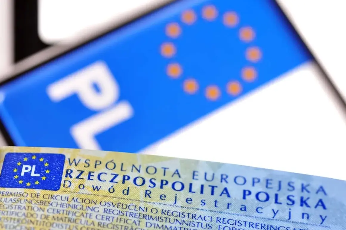 Dowód rejestracyjny z napisem "Rzeczpospolita Polska" i unijnymi gwiazdkami. Sprawdź, jak sprawdzić czy dowód rejestracyjny jest do odbioru.