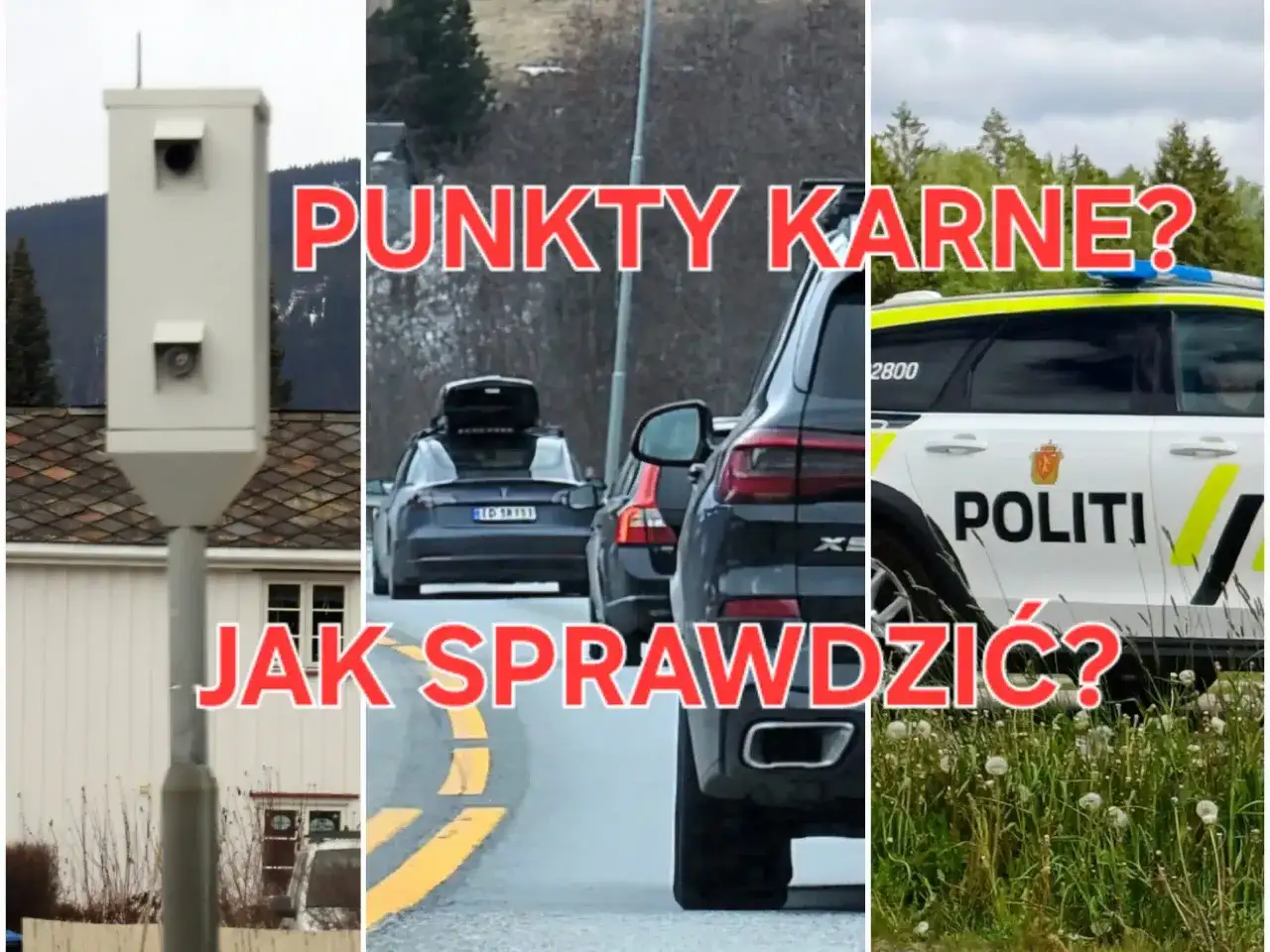 Gdzie sprawdzić punkty karne i kiedy znikają z konta?
